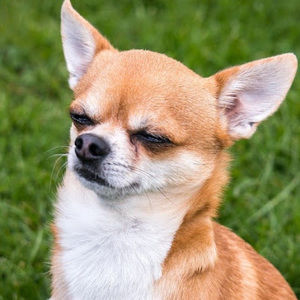 Meet your Posher, Mariana